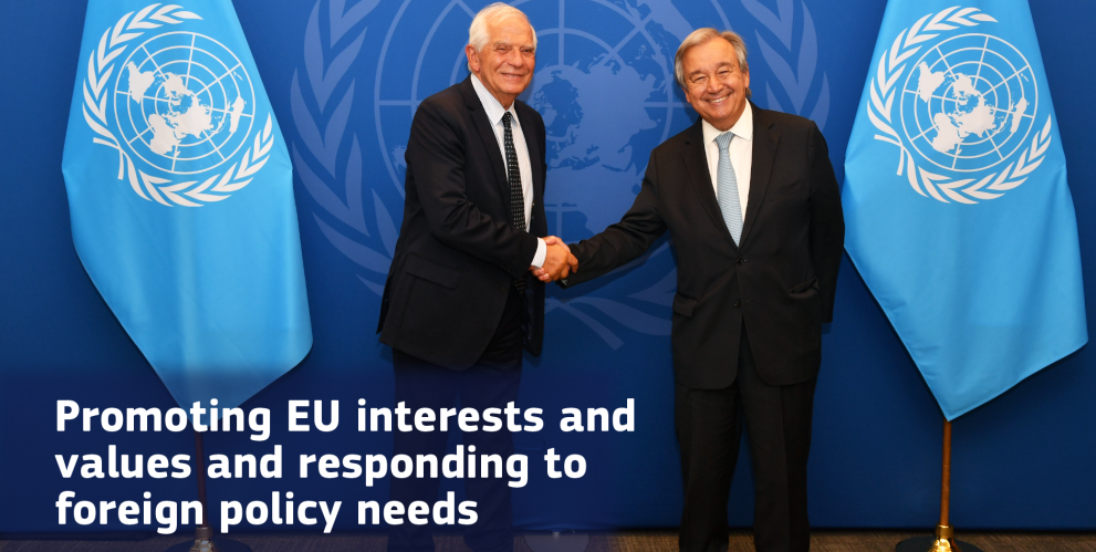 Promoting EU interests and values and responding to foreign policy needs, 2022