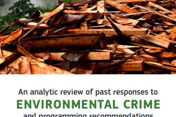An analytic review of past responses to environmental crime and programming recommendations for future action